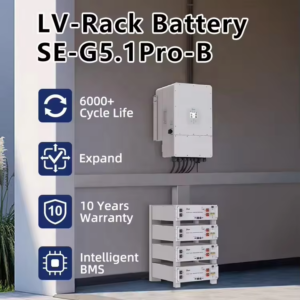 DEYE SE-G10.2 Battery LFP 200 Ah and 10.24 kWh - Image 2